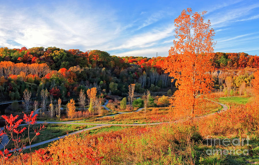 Evergreen Brick Works Autumn Photograph by Charline Xia