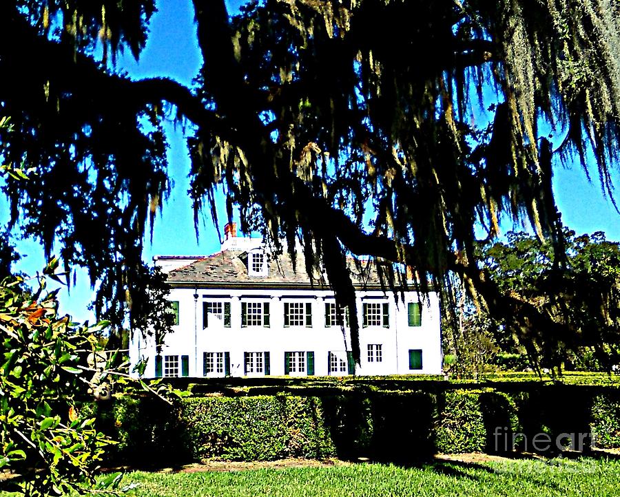 Evergreen Slave Plantation In Wallace Louisiana Photograph by Michael