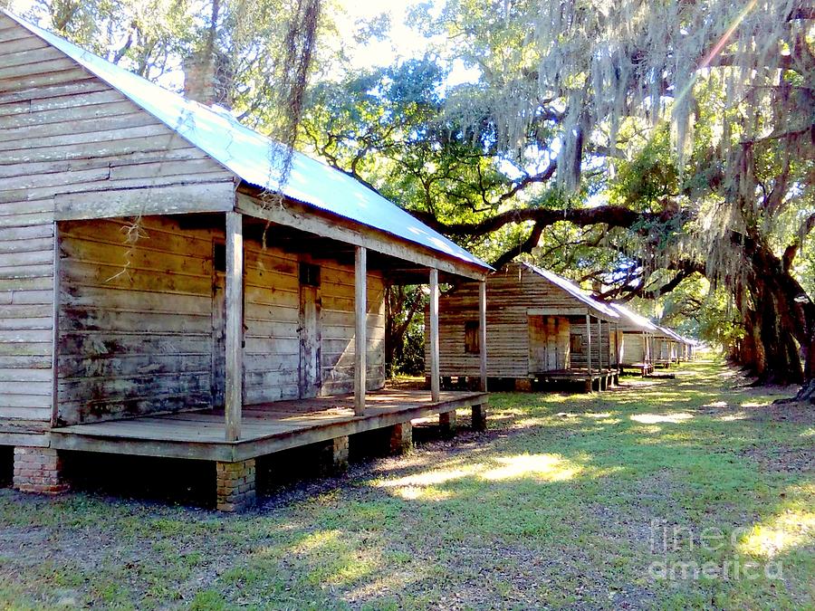 Evergreen Sugar Cane Plantation Slave Cabin Quarters In Wallace Louisiana Photograph