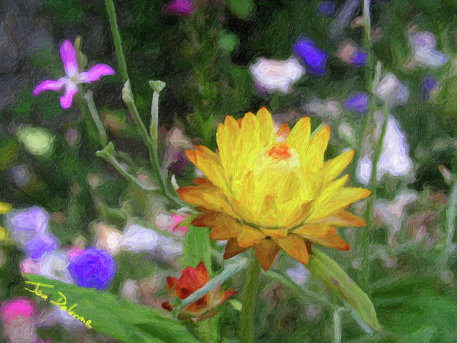 Everlasting Flower Digital Art