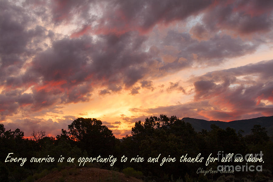Typography Photograph - Every Morning is an Opp to rise and give thanks - photography by CheyAnne Sexton