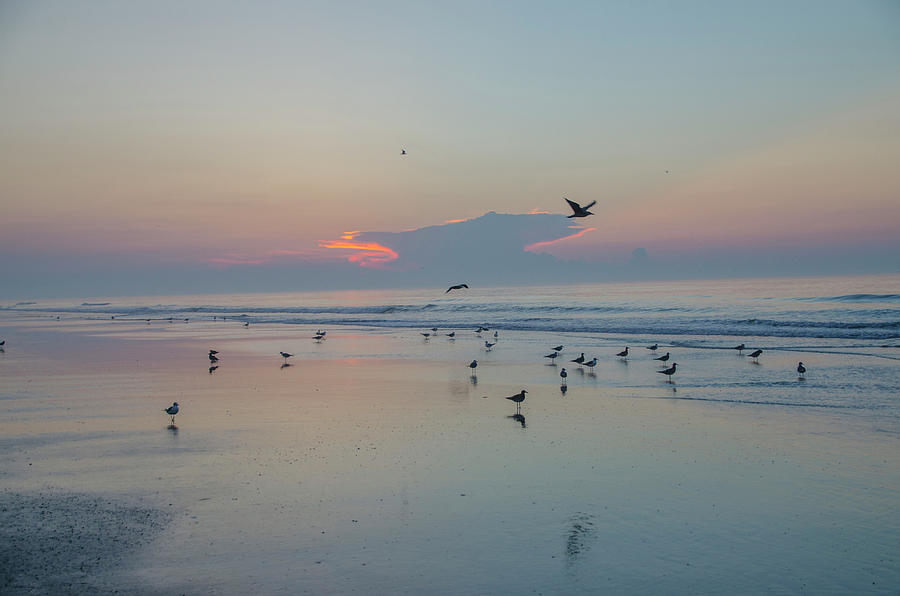 Every One Is Flocking to Wildwood Photograph by Bill Cannon
