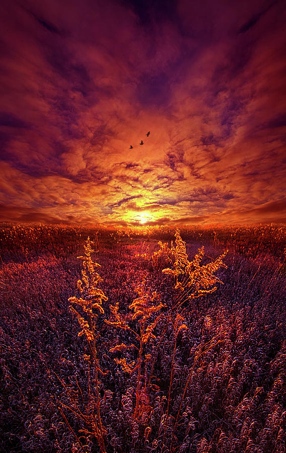 Every Sound Returns To Silence Photograph by Phil Koch