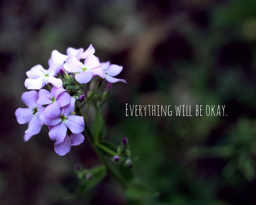 Flower Photograph - Everything Will Be Okay by Cody Hoffman