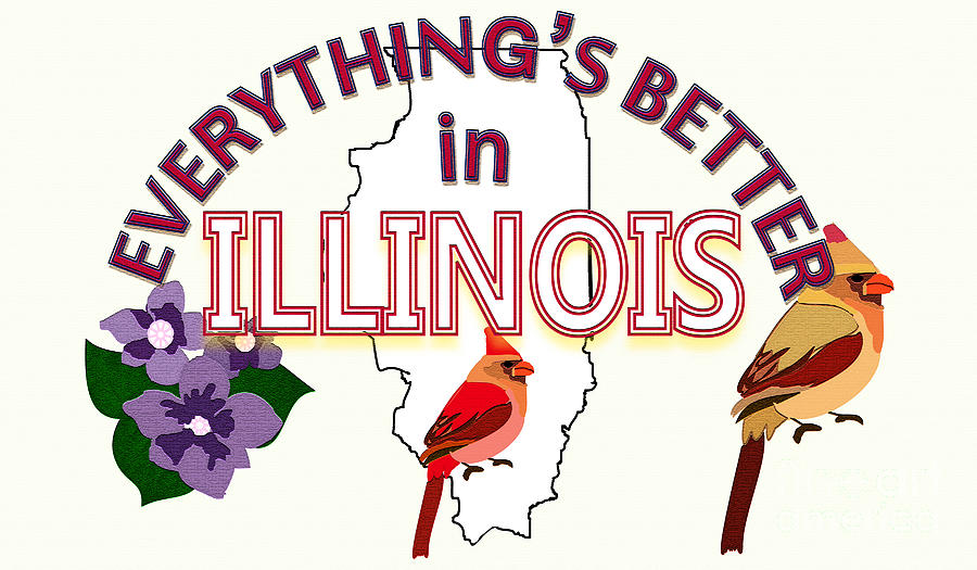 Cardinal Digital Art - Everythings Better in Illinois by Pharris Art