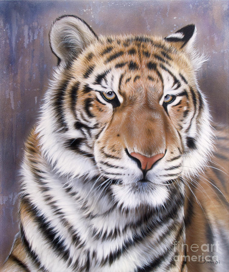 Wildlife Painting - Evo by Sandi Baker