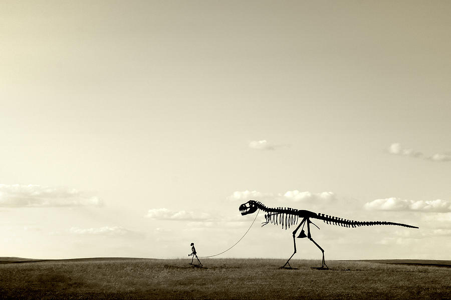 Prehistoric Photograph - Evolution by Todd Klassy