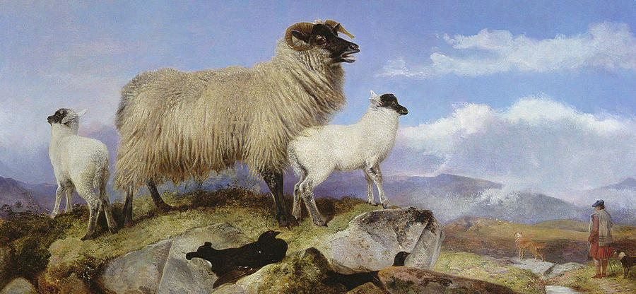 Ewe and Lambs Painting by Richard Ansdell