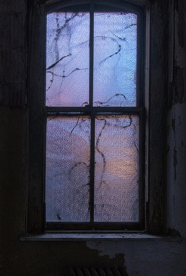 Exam Room Window Photograph by Tom Singleton