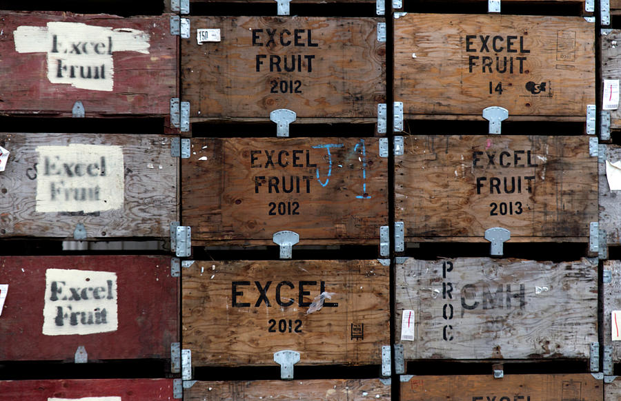 Excel Fruit Photograph by Lora Lee Chapman