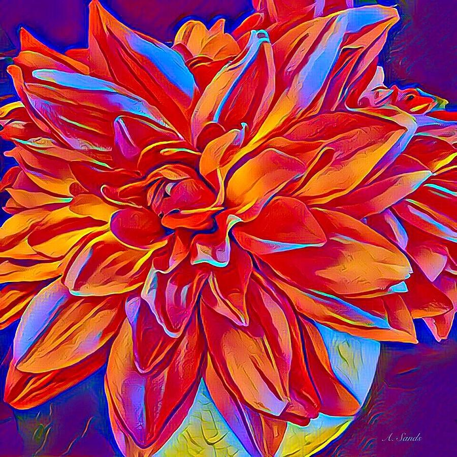 Exciting Red Dahlia Digital Art by Anne Sands