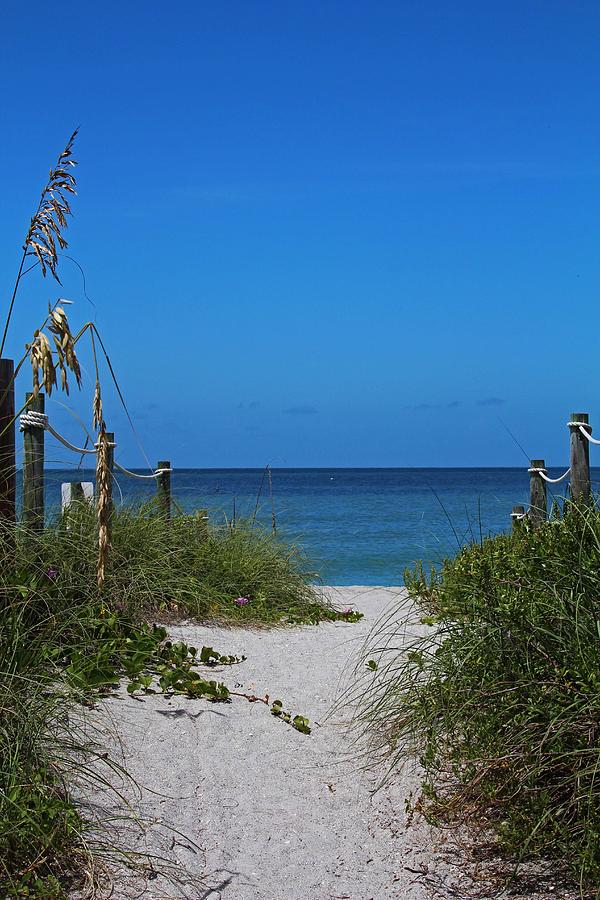 Exclusively Captiva Photograph by Michiale Schneider