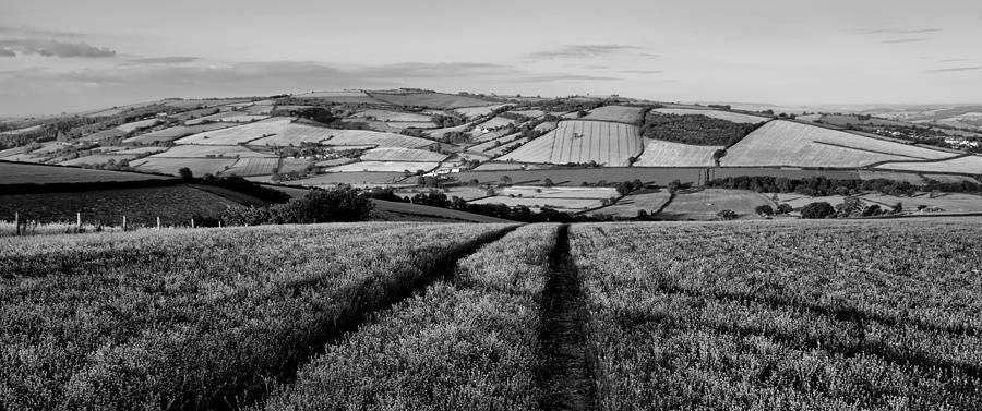Exe valley in Devon Photograph by Pete Hemington