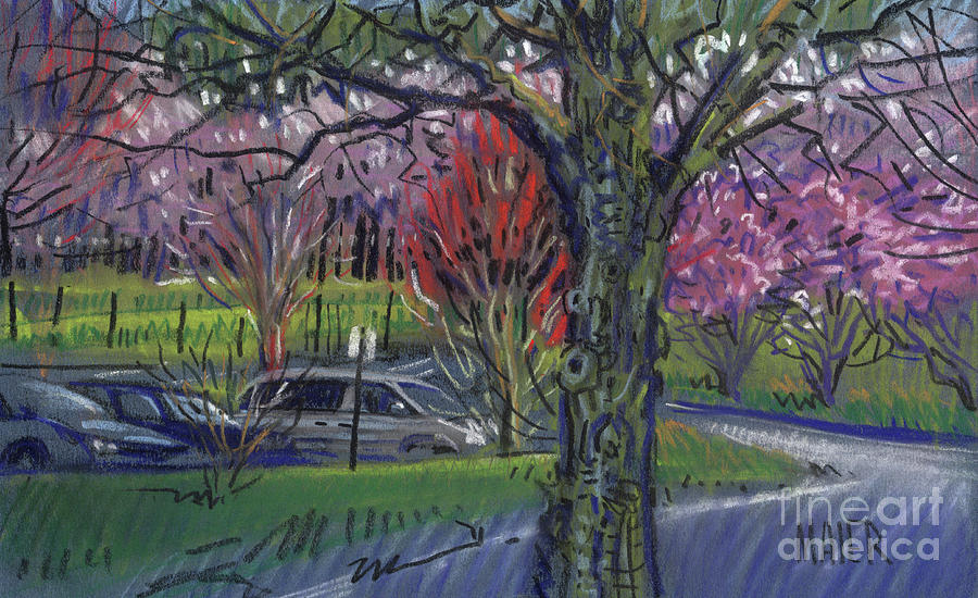 Executive Park Drawing by Donald Maier
