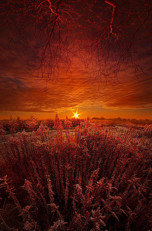 Winter Photograph - Exhale by Phil Koch