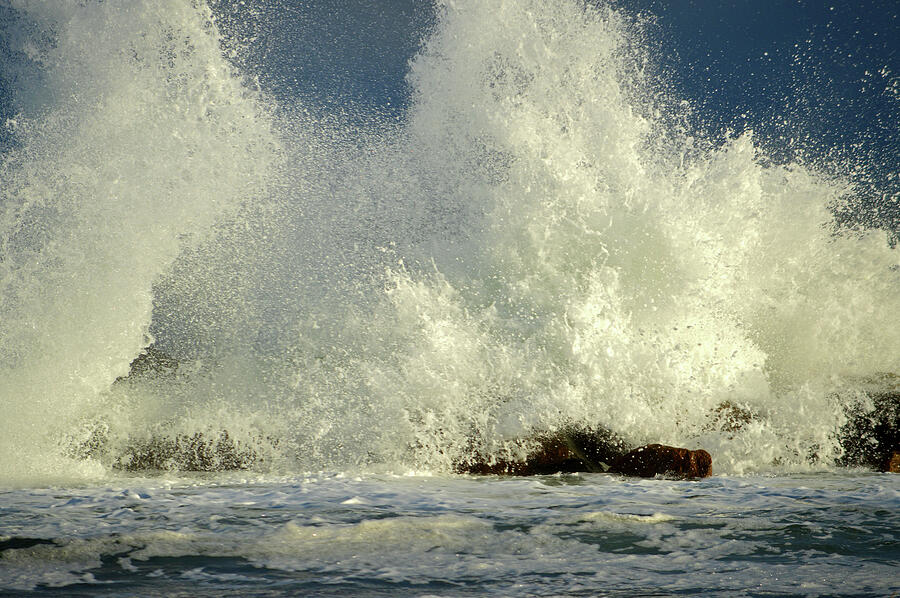 Exhilaration - Cape Cod Bay Photograph by Dianne Cowen Cape Cod Photography