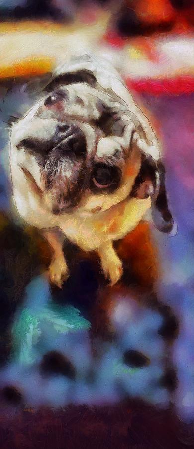 Existential Zues pug painting by Artist MendyZ quizzical confused dog looking with big eyes Painting by MendyZ