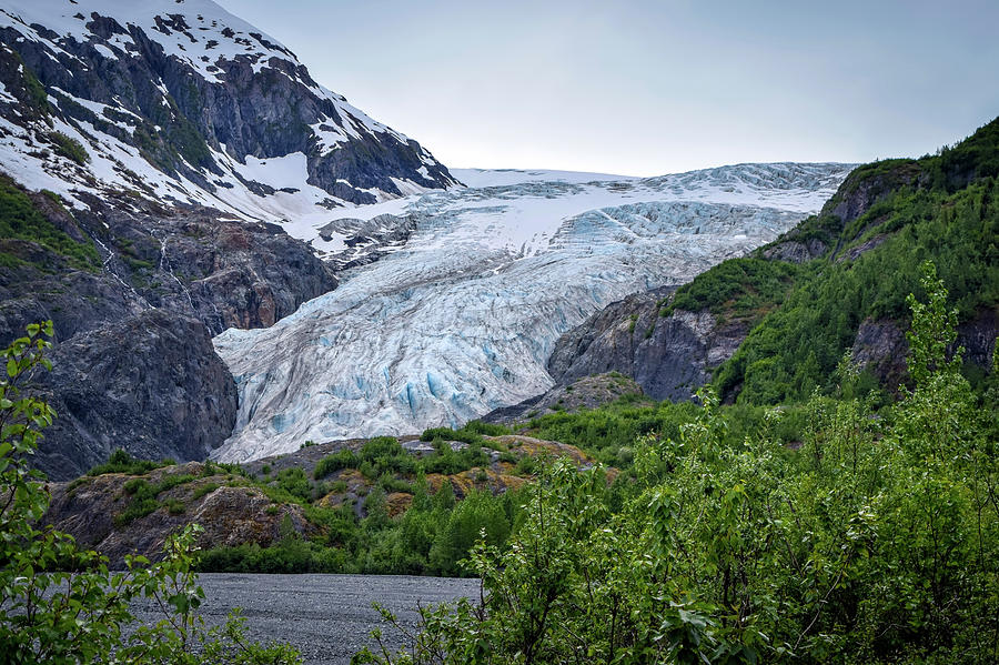 exit glacier at kenai fjords national park photograph by michael gonyea