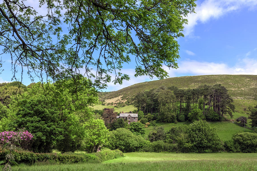 Exmoor - England Photograph by Joana Kruse - Pixels