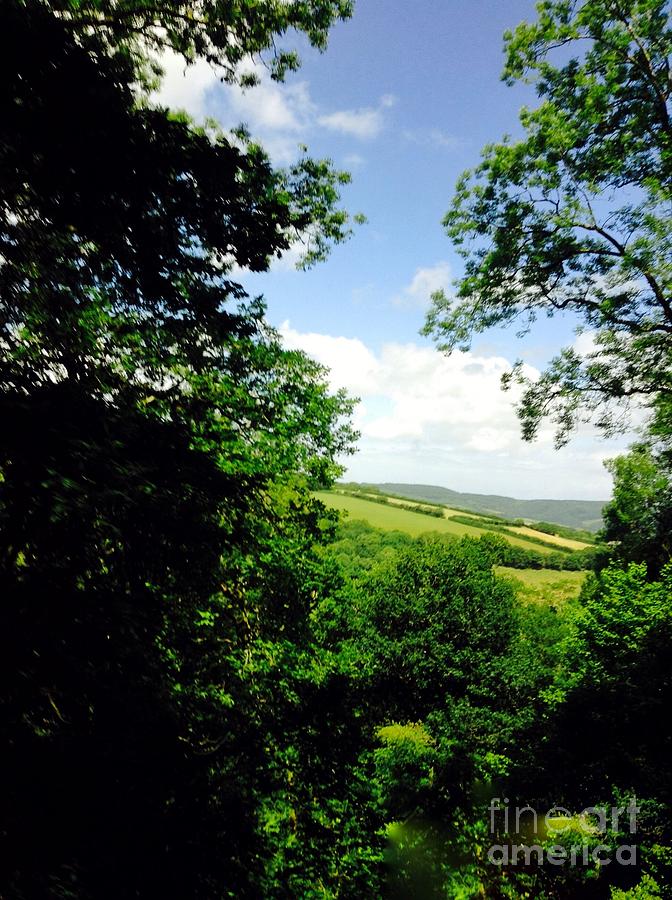 Exmoor Through The Trees Photograph by Joan-Violet Stretch