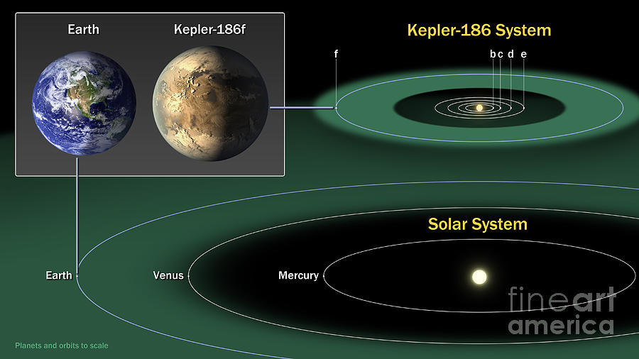 Exoplanet Kepler-186 And The Solar Photograph by Science Source