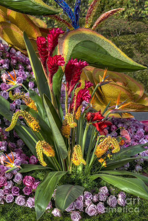 Exotic Flowers Photograph by David Zanzinger