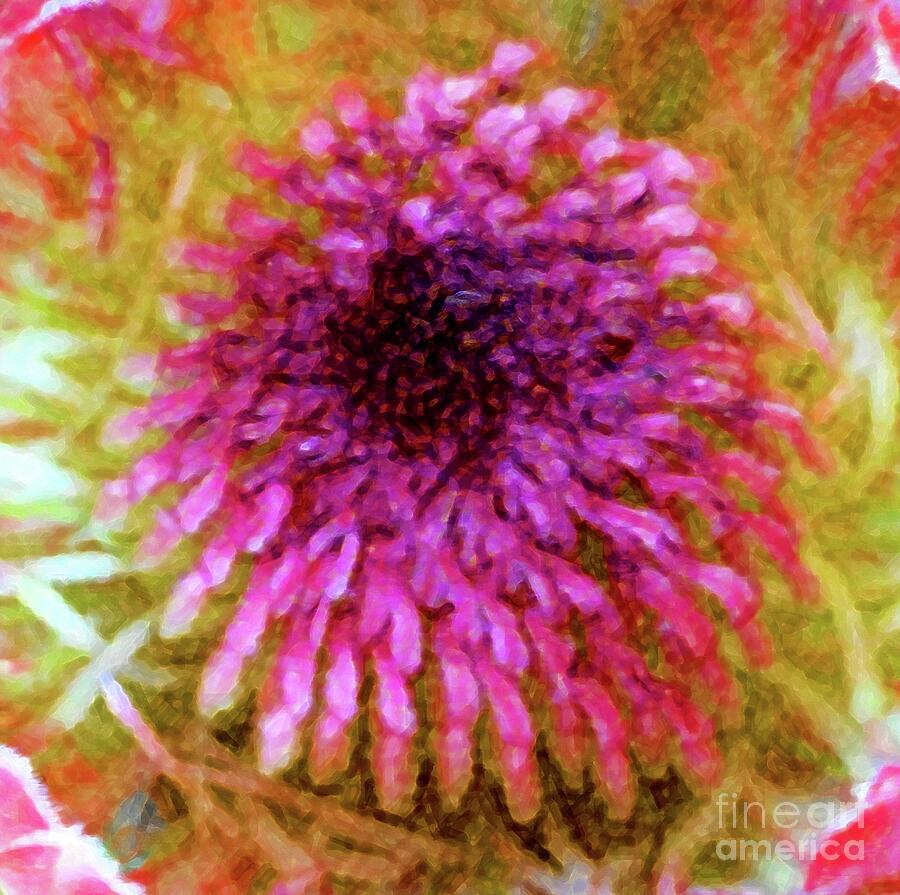Exotic Floral Beauty Photograph by Barbie Corbett-Newmin