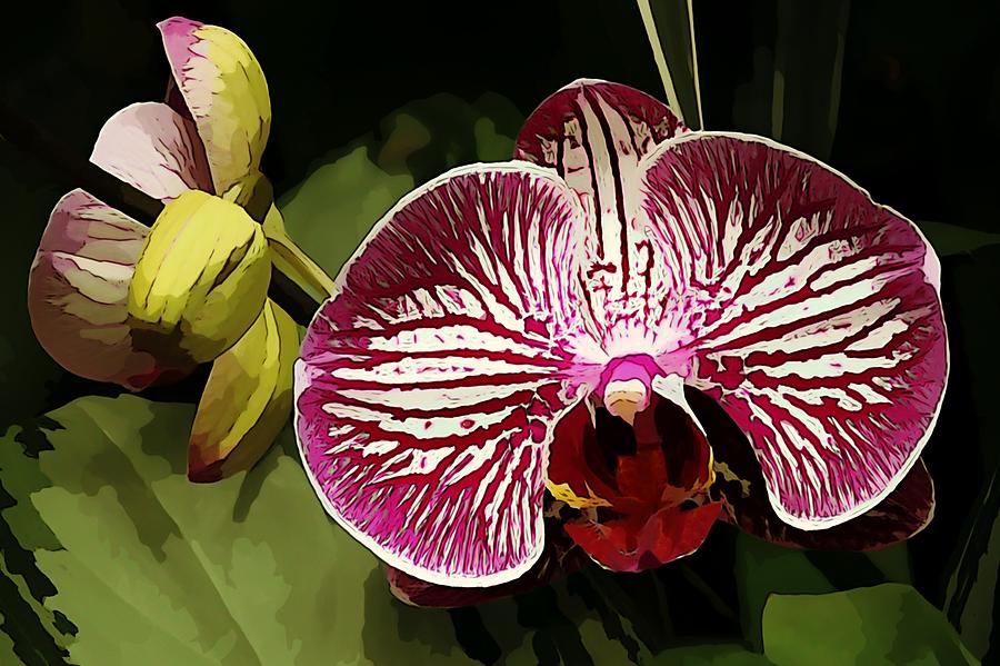Exotic Petals Photograph by Jean Connor