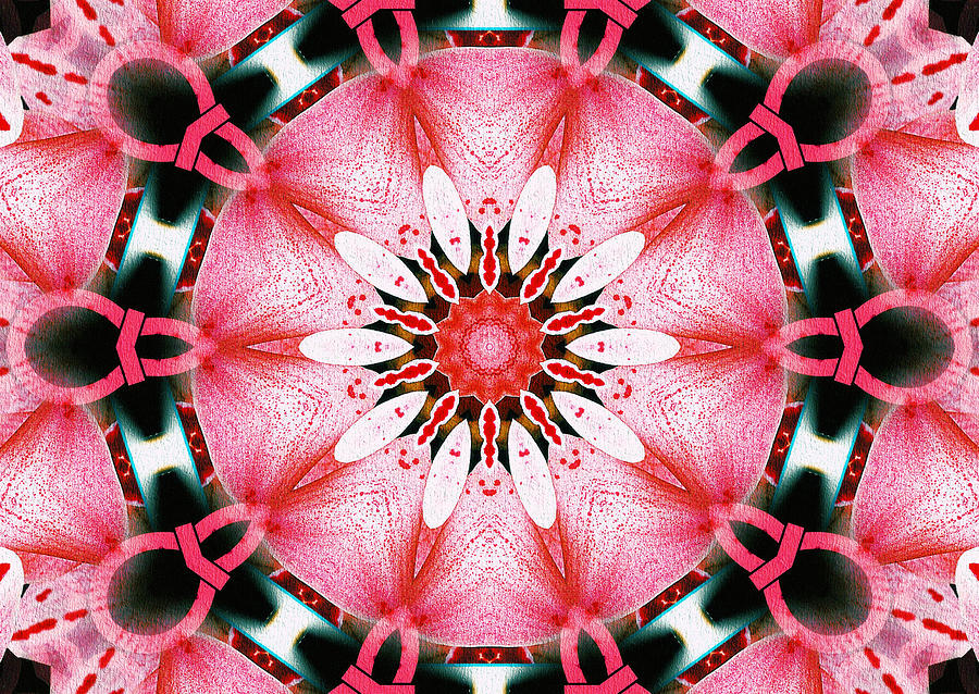 Exotic Pink Orchid Mixed Media by Natalie Holland