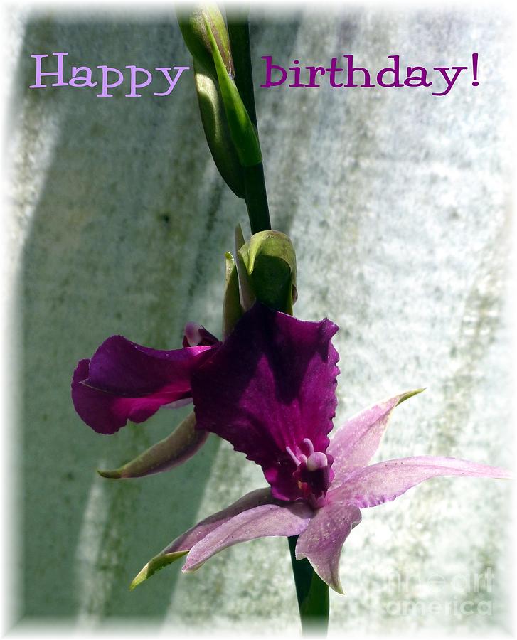 exotic purple birthday wishes barbie corbett newmin