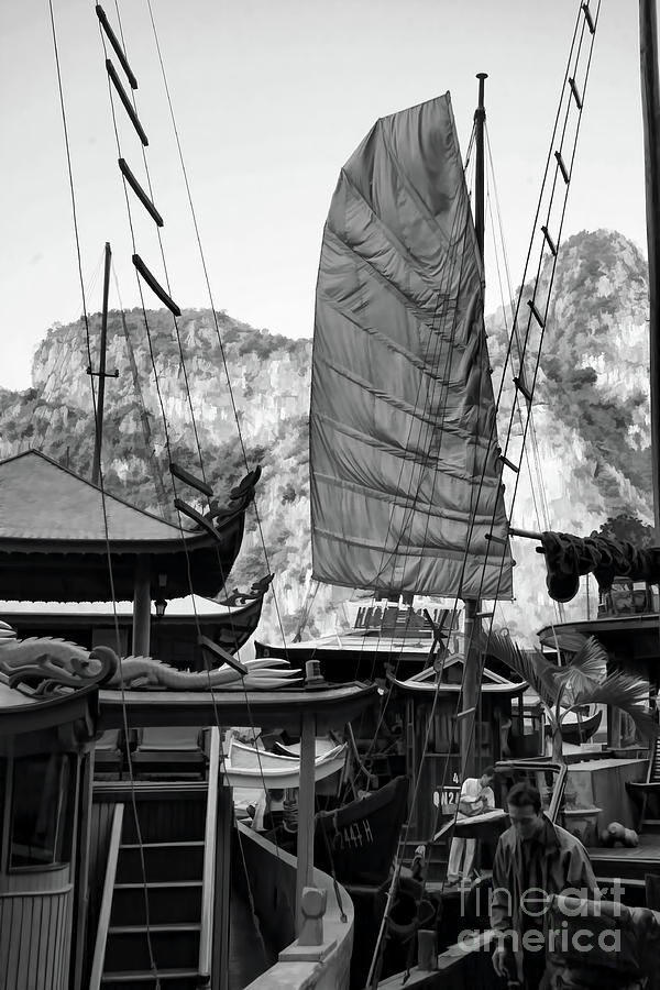 Exotic Sails Vietnam Black White  Photograph by Chuck Kuhn