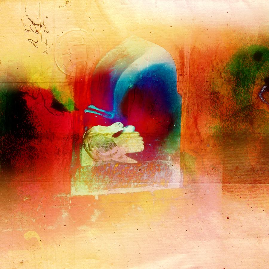 Exotic Travel Pigeons in Palaces Abstract Square Peach Pink Blue 4d Photograph by Sue Jacobi