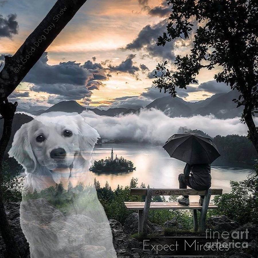Nature Digital Art - Expect Miracles by Kathy Tarochione