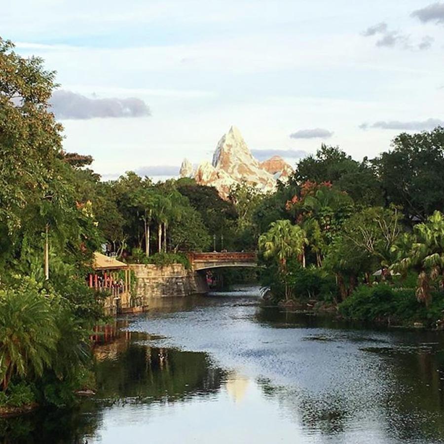 Disney Photograph - #expeditioneverest by Patricia And Craig