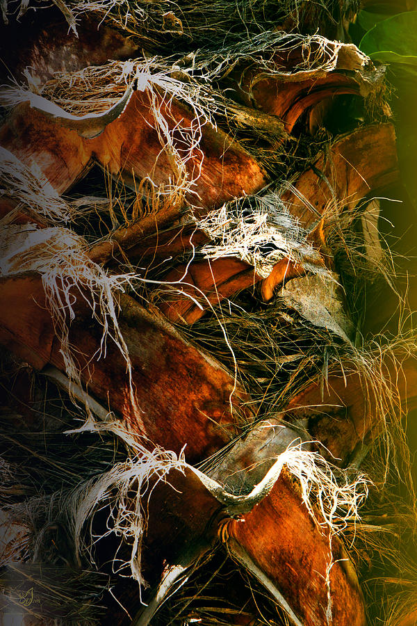 Experience Photograph - Experience by Music of the Heart Experience Photograph - Experience by Music of the Heart
