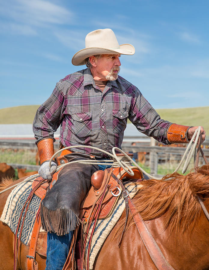 Experienced Cowboy Photograph by Todd Klassy