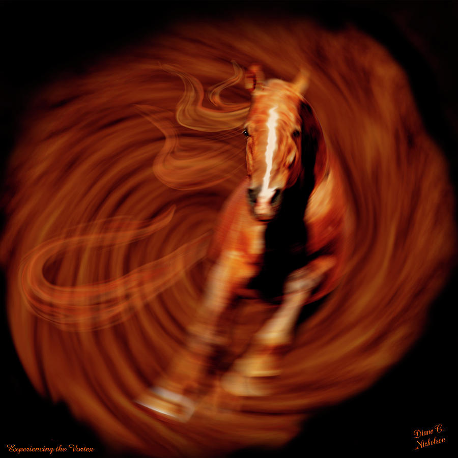 Horse Photograph - Experiencing the Vortex by Diane C Nicholson