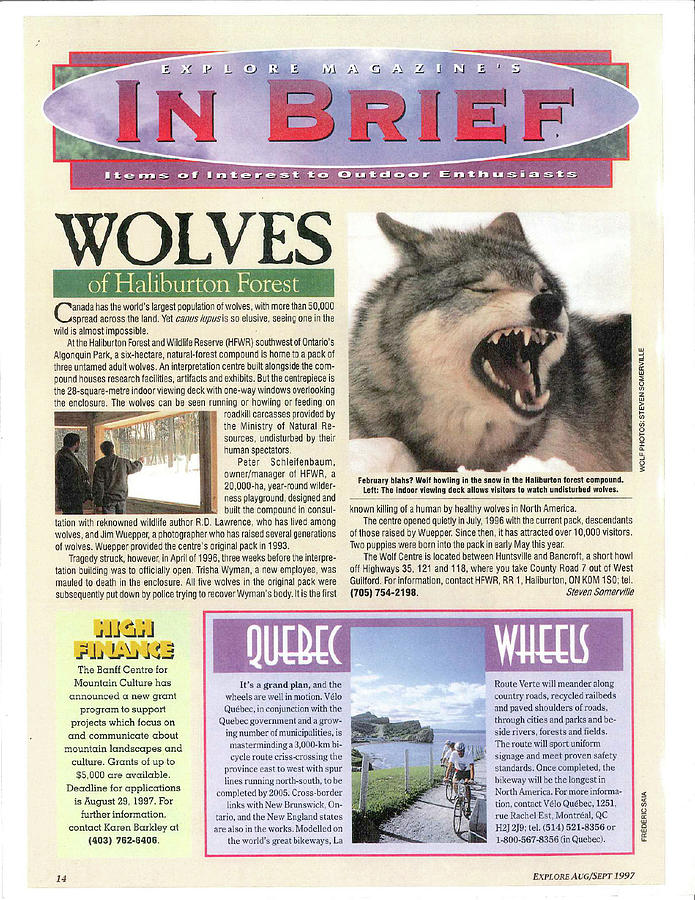 Explore Magazine - Wolves Article Tapestry - Textile by Steve Somerville