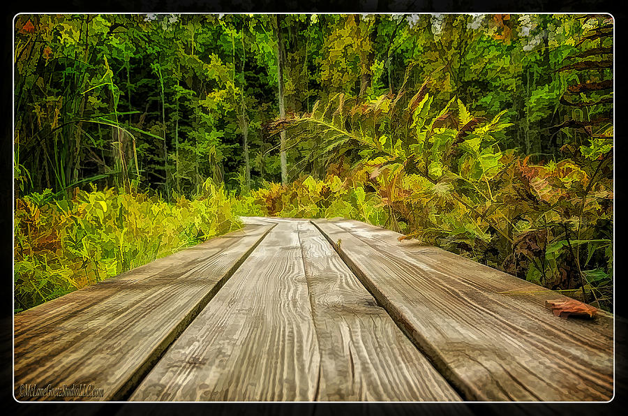 Explore Miller Pond Boardwalk  Photograph by LeeAnn McLaneGoetz McLaneGoetzStudioLLCcom