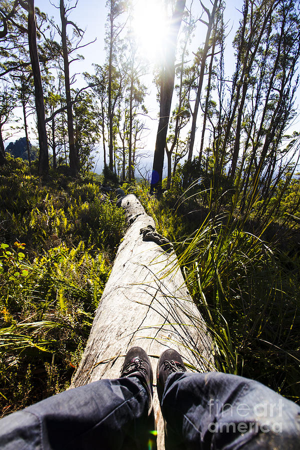 Explore tasmania Photograph by Jorgo Photography