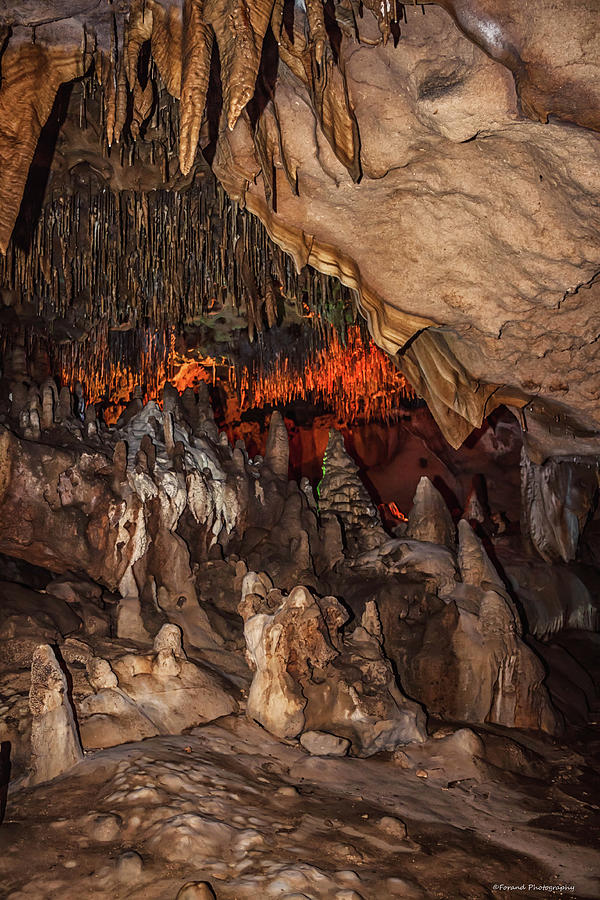 Exploring Florida Caverns  Photograph by Debra Forand