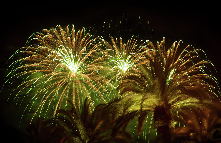 Explosive in Green Fireworks Photograph by Bonnie Follett