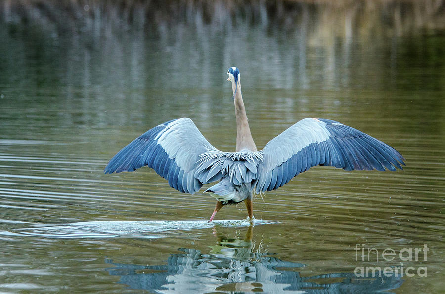 Bird Photograph - Expose Yourself to Nature by Emily Bristor Bird Photograph - Expose Yourself to Nature by Emily Bristor