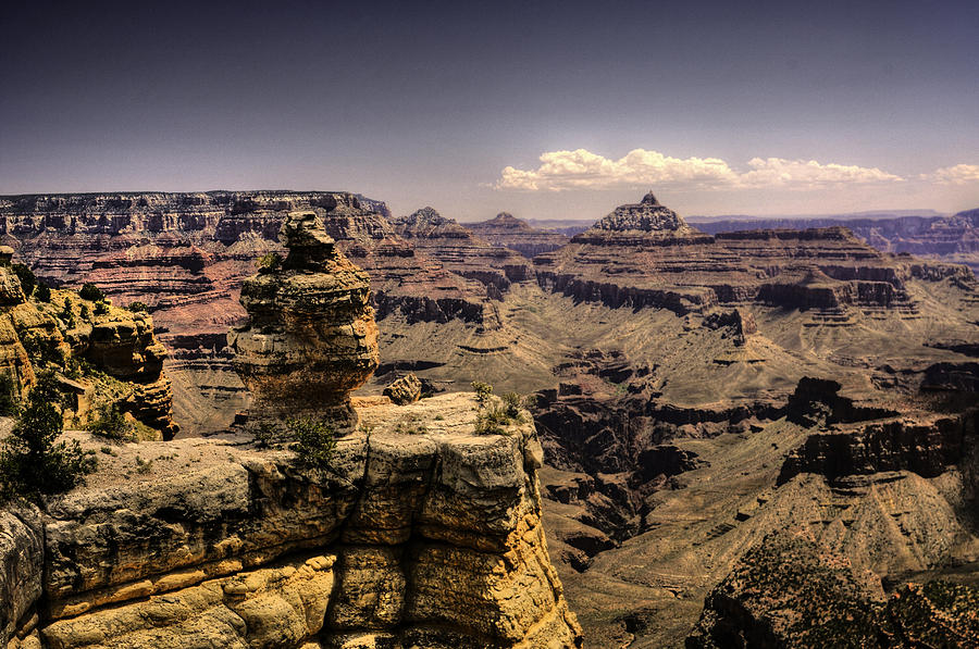 Exposed Grand Canyon Formations Photograph by Don Wolf