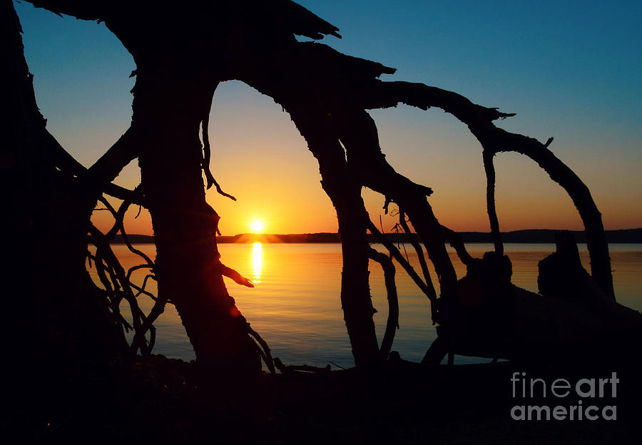 Sunset Photograph - Exposed by Kelly Nowak