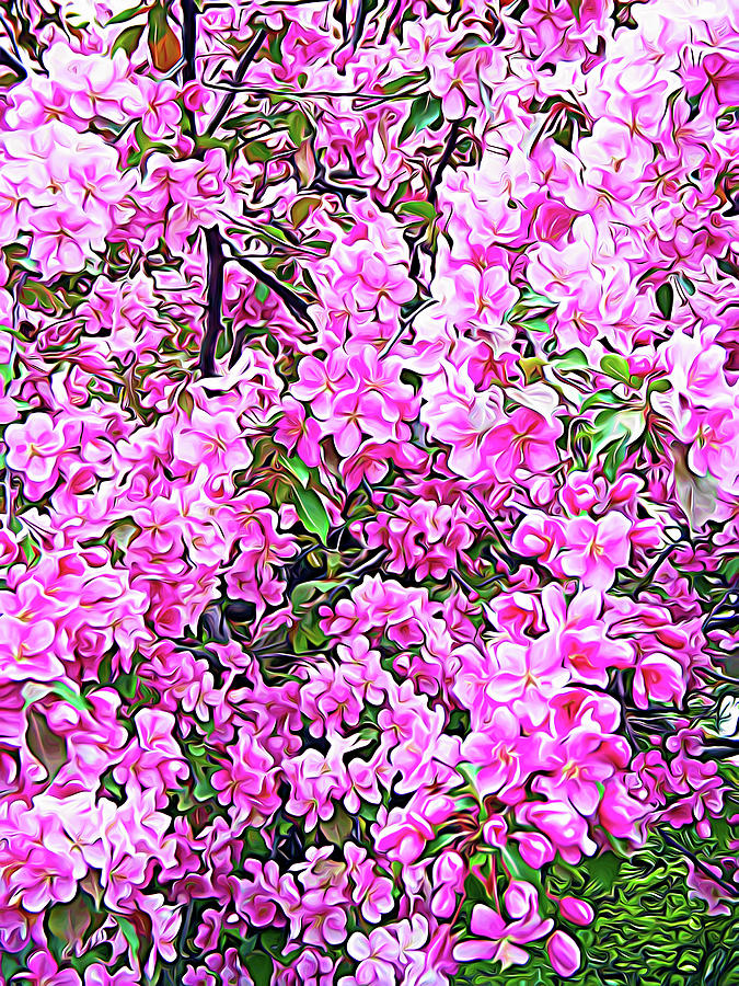 Expressionalism Apple Blossoms Photograph by Aimee L Maher ALM GALLERY
