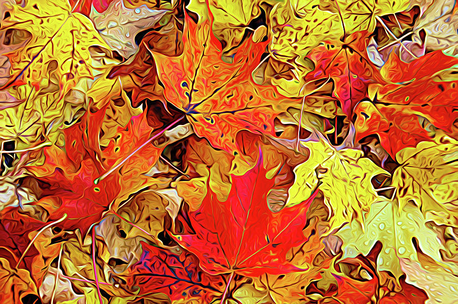 Expressionalism Autumn Leaves Photograph by Aimee L Maher ALM GALLERY