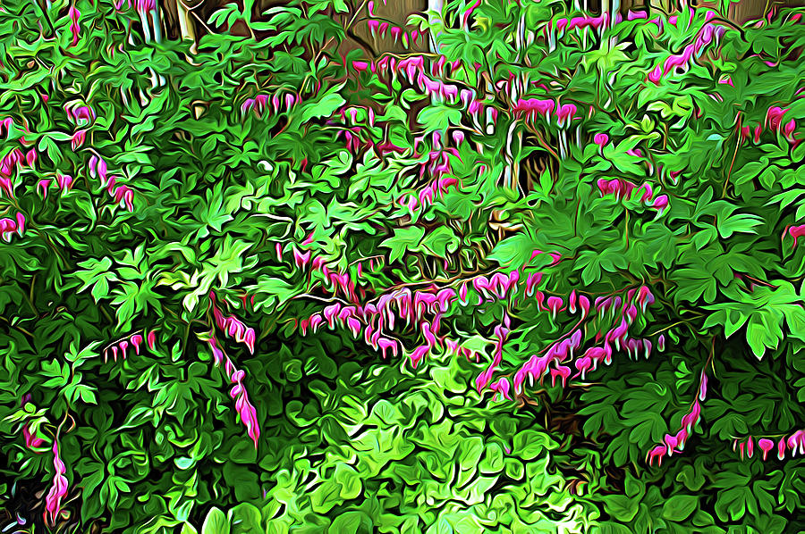 Expressionalism Bed of Bleeding Hearts Photograph by Aimee L Maher ALM GALLERY