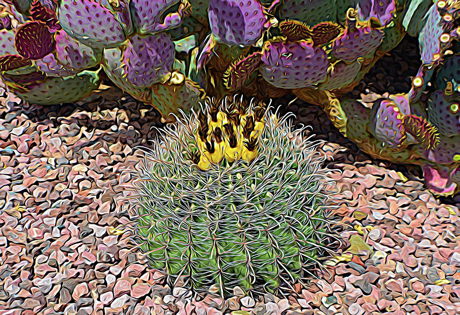 Expressionalism Budding Cactus Photograph by Aimee L Maher ALM GALLERY