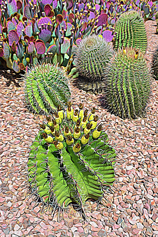 Expressionalism Desert Cacti Photograph by Aimee L Maher ALM GALLERY